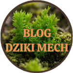 Blog z Dzikiego Mchu