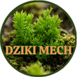 Dziki Mech