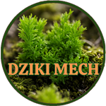 Dziki Mech