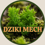 DZIKI MECH