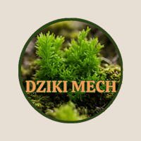 BLOG z DZIKIEGO MCHU